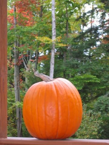 Pumpkin (user submitted)