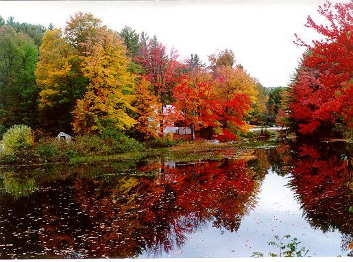 Fall Reflections (user submitted)