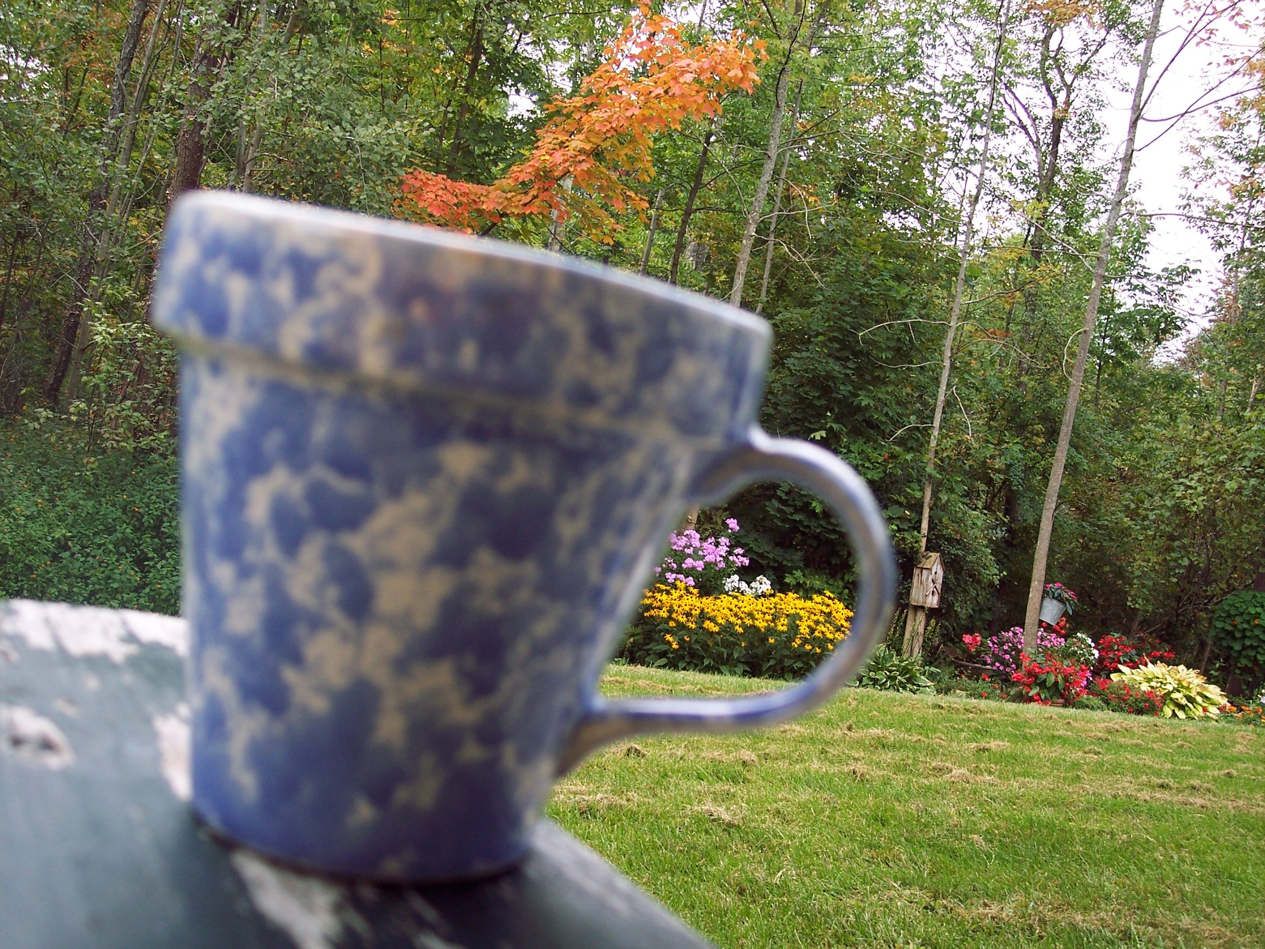 Autumn From A Mug (user submitted)