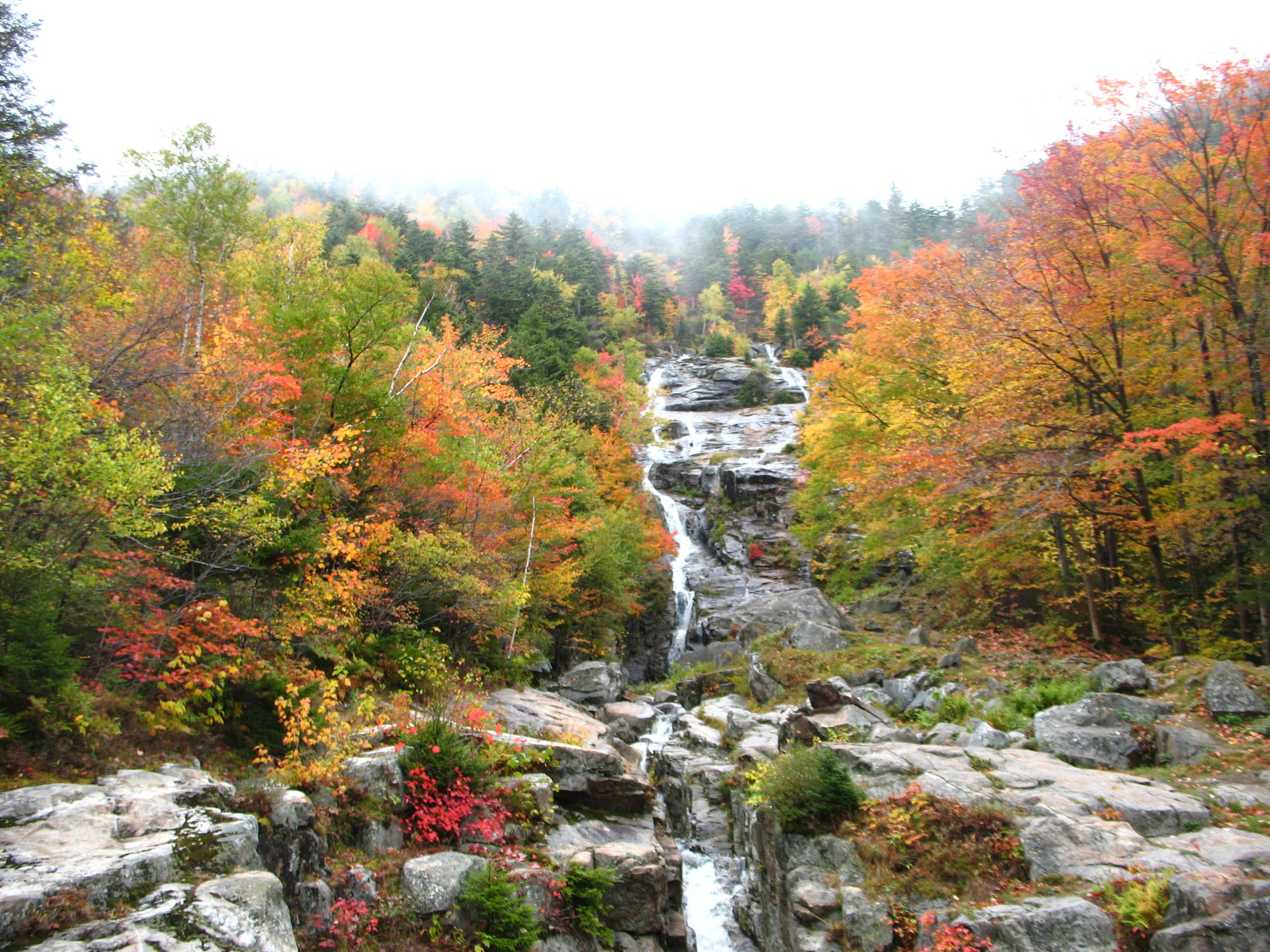 Waterfall Surrounded By Autumn Leaves (user submitted)