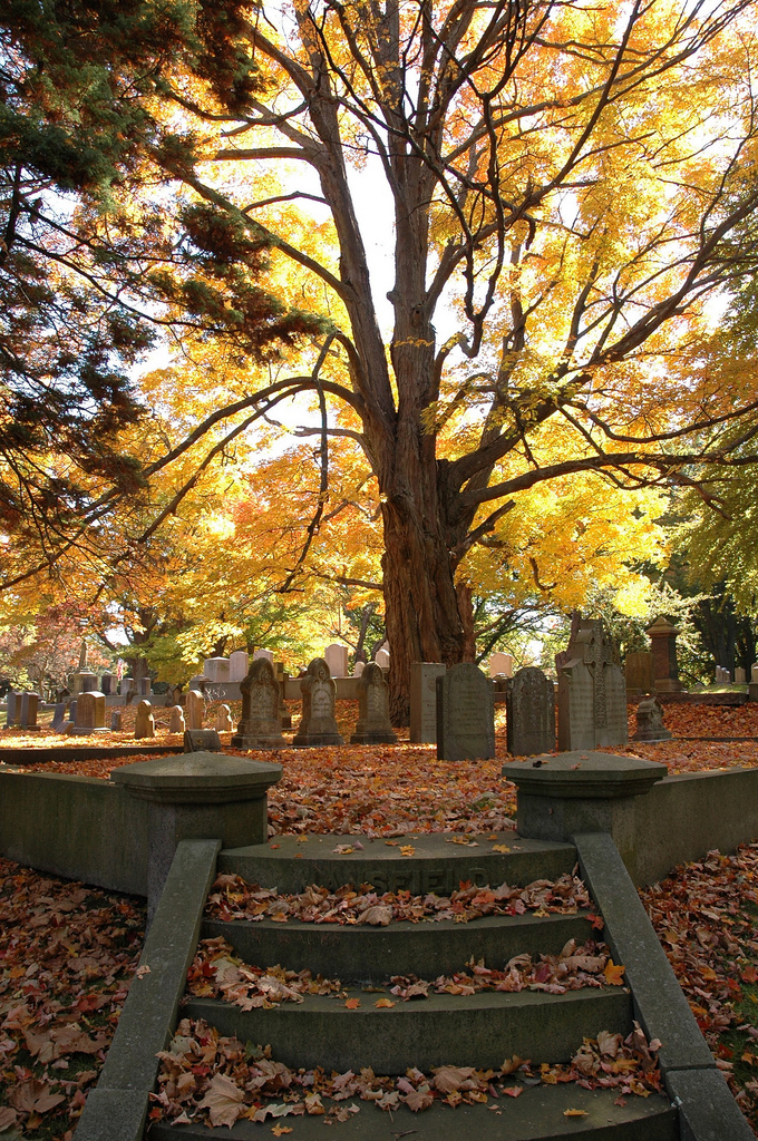 Autumn Graveyard (user submitted)