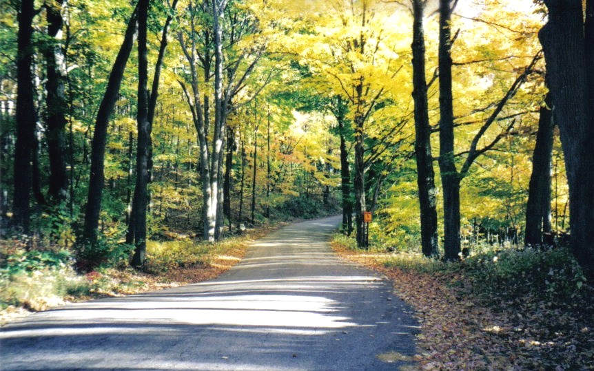 New England Country Road In Autumn (user submitted)