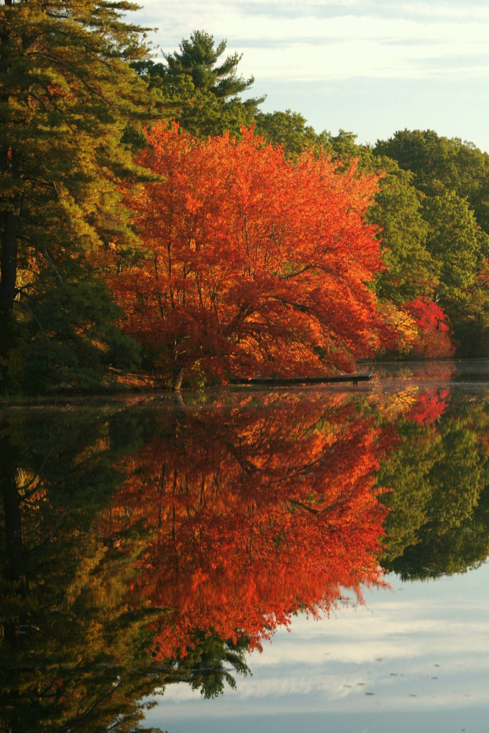 Autumn Reflections (user submitted)