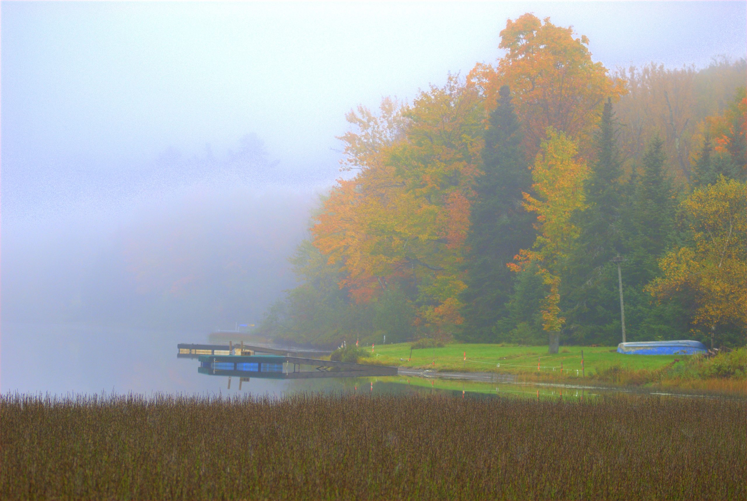 A Foggy Autumn Morning (user submitted)