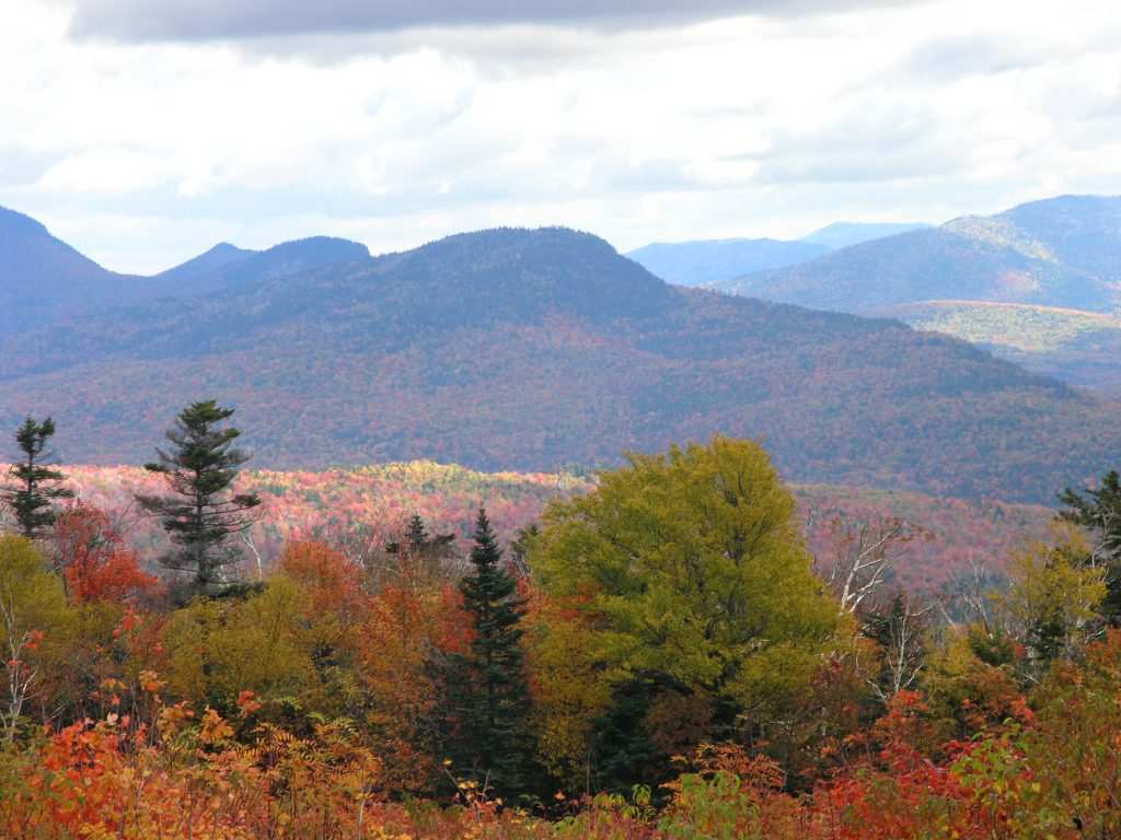 Country Solitude - New England