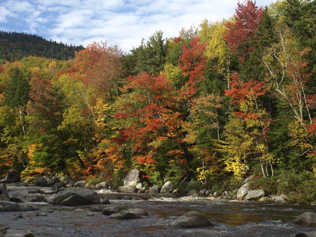 Fall Along The Kanc (user submitted)