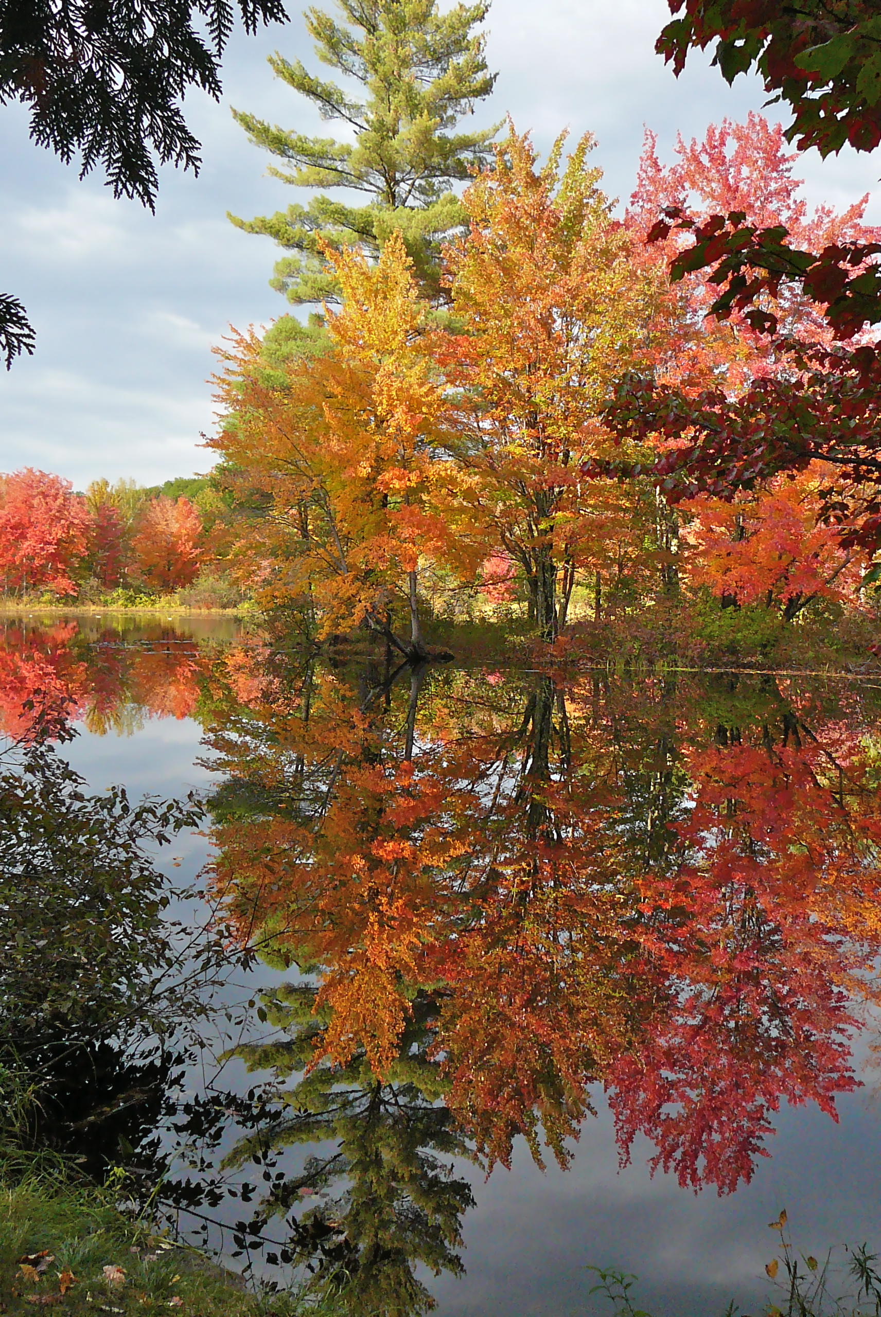 Autumn Reflections (user submitted)