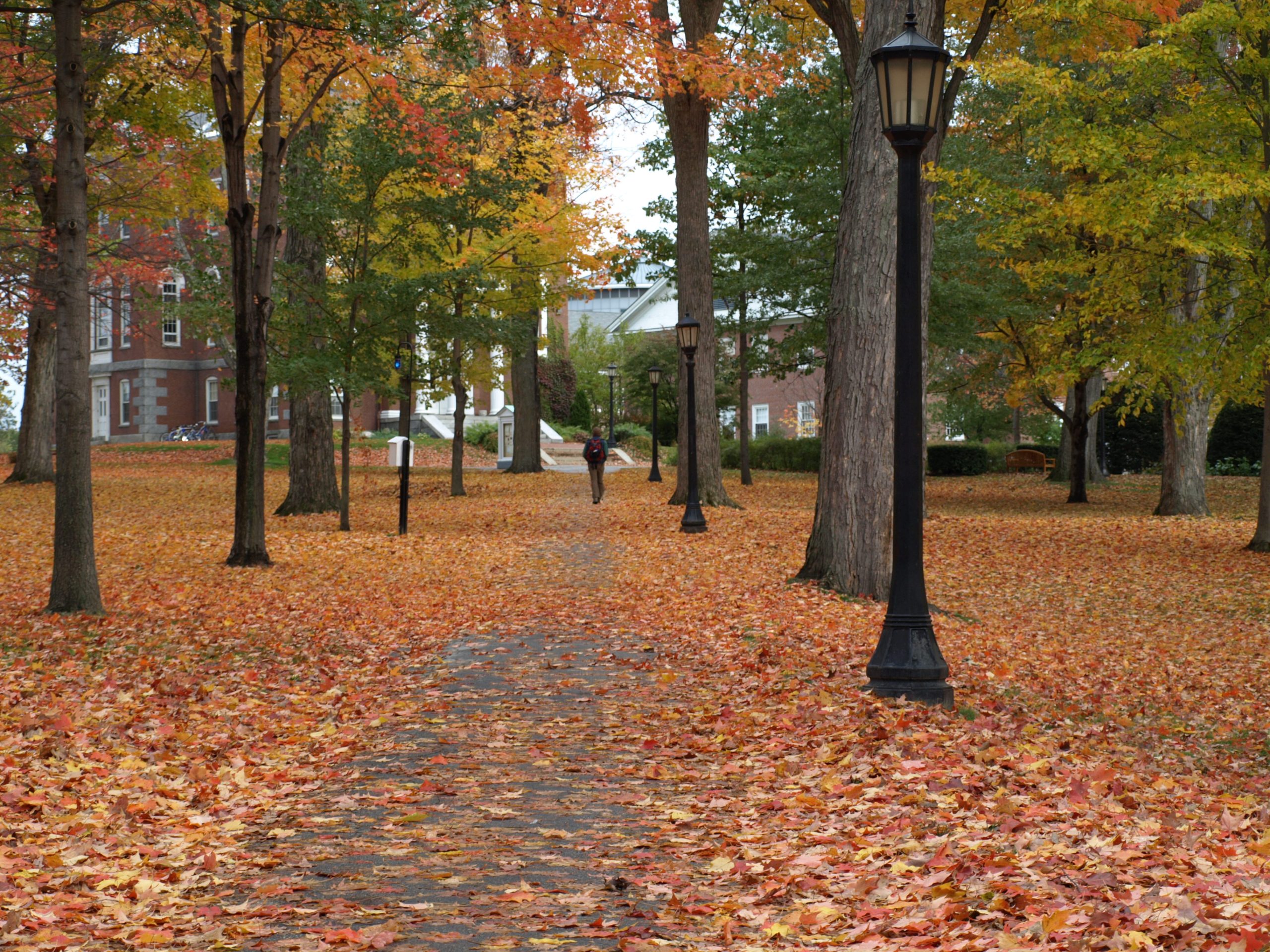 Colorful Autumn Walk (user submitted)