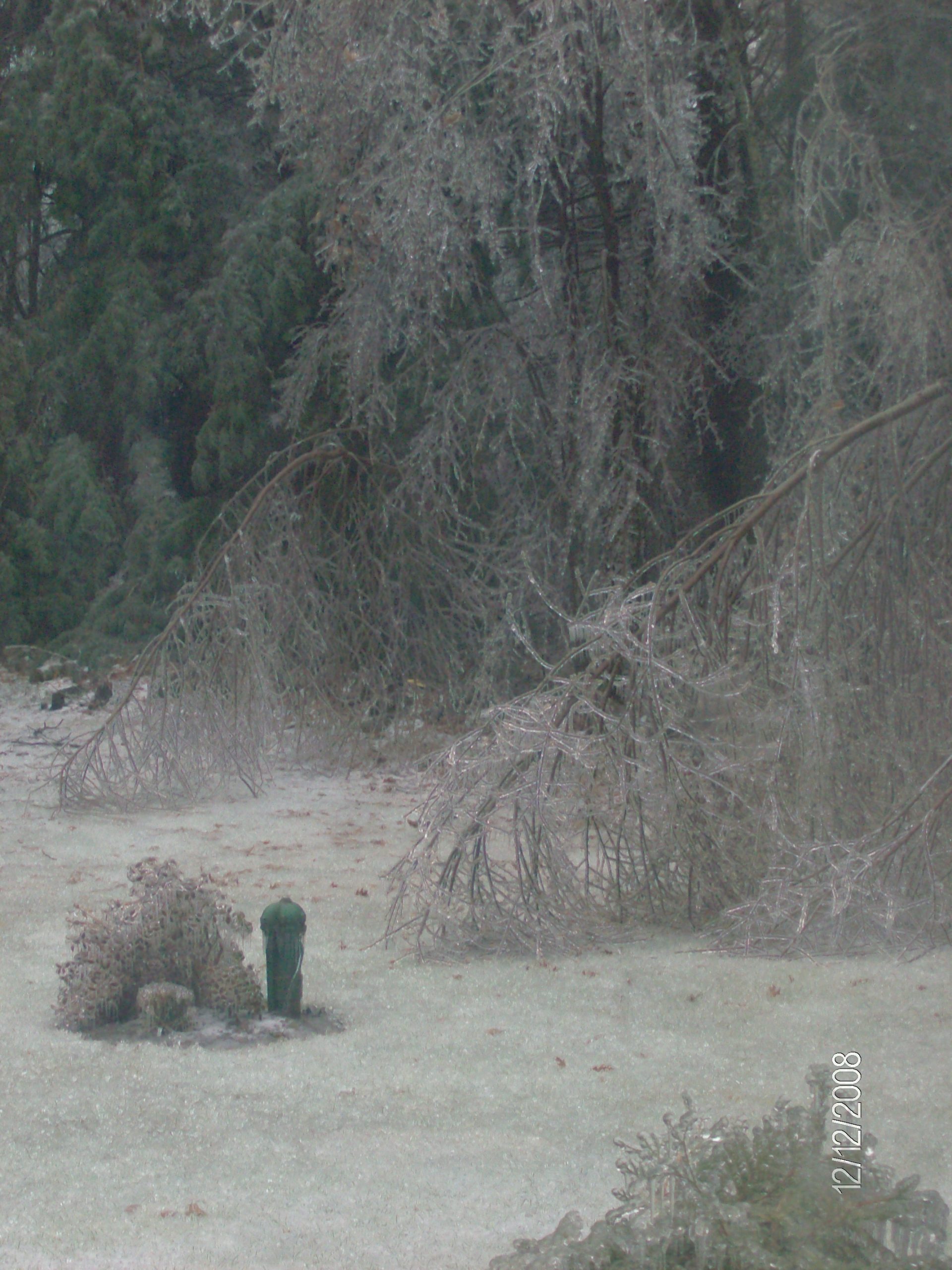 Ice Storm 08 (user submitted)