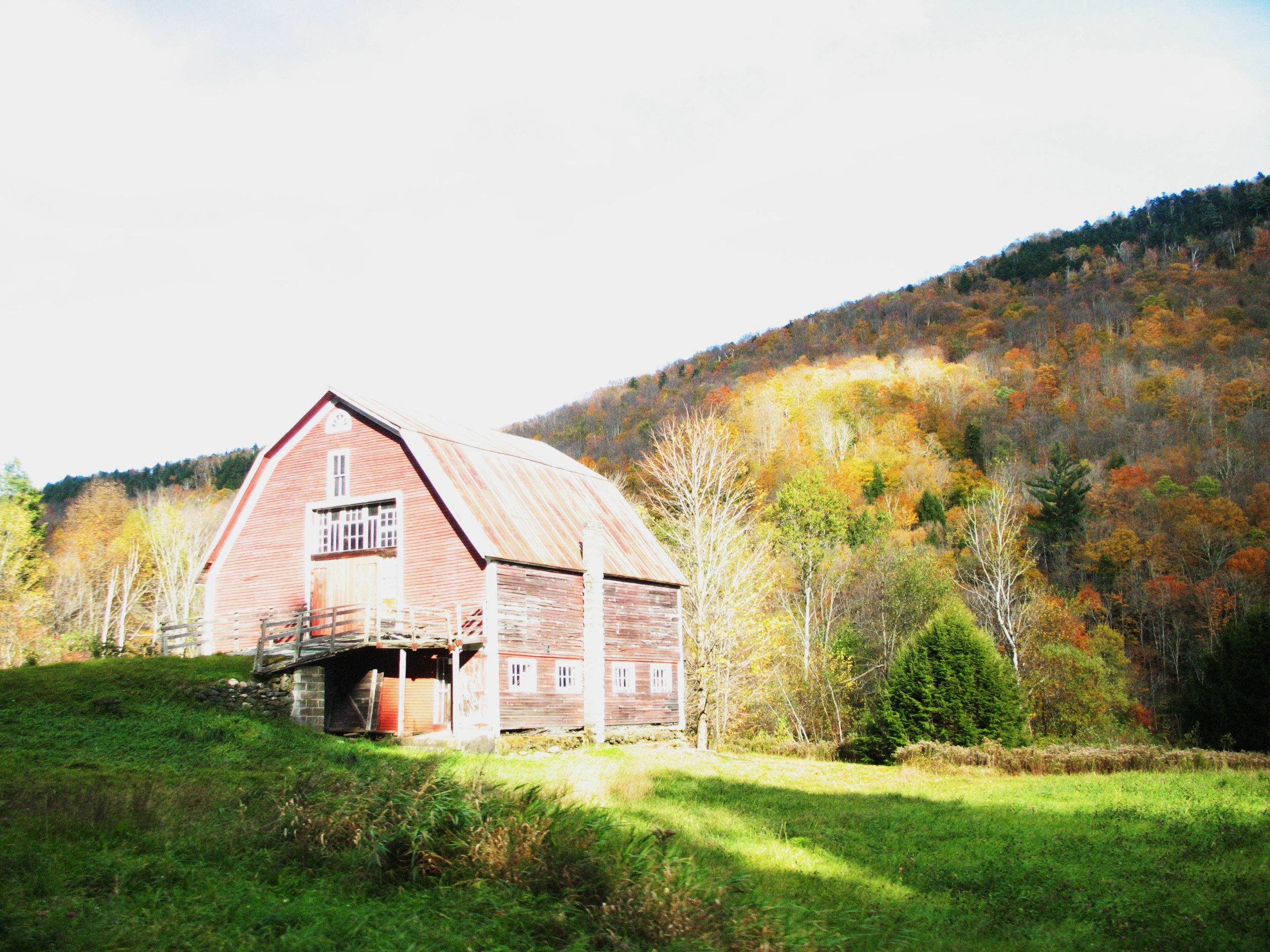 Fall In Vt (user submitted)