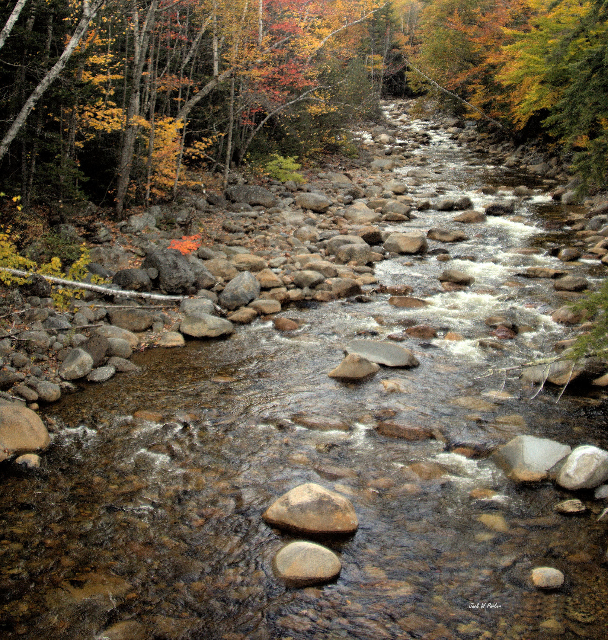 Autumn Stream (user submitted)