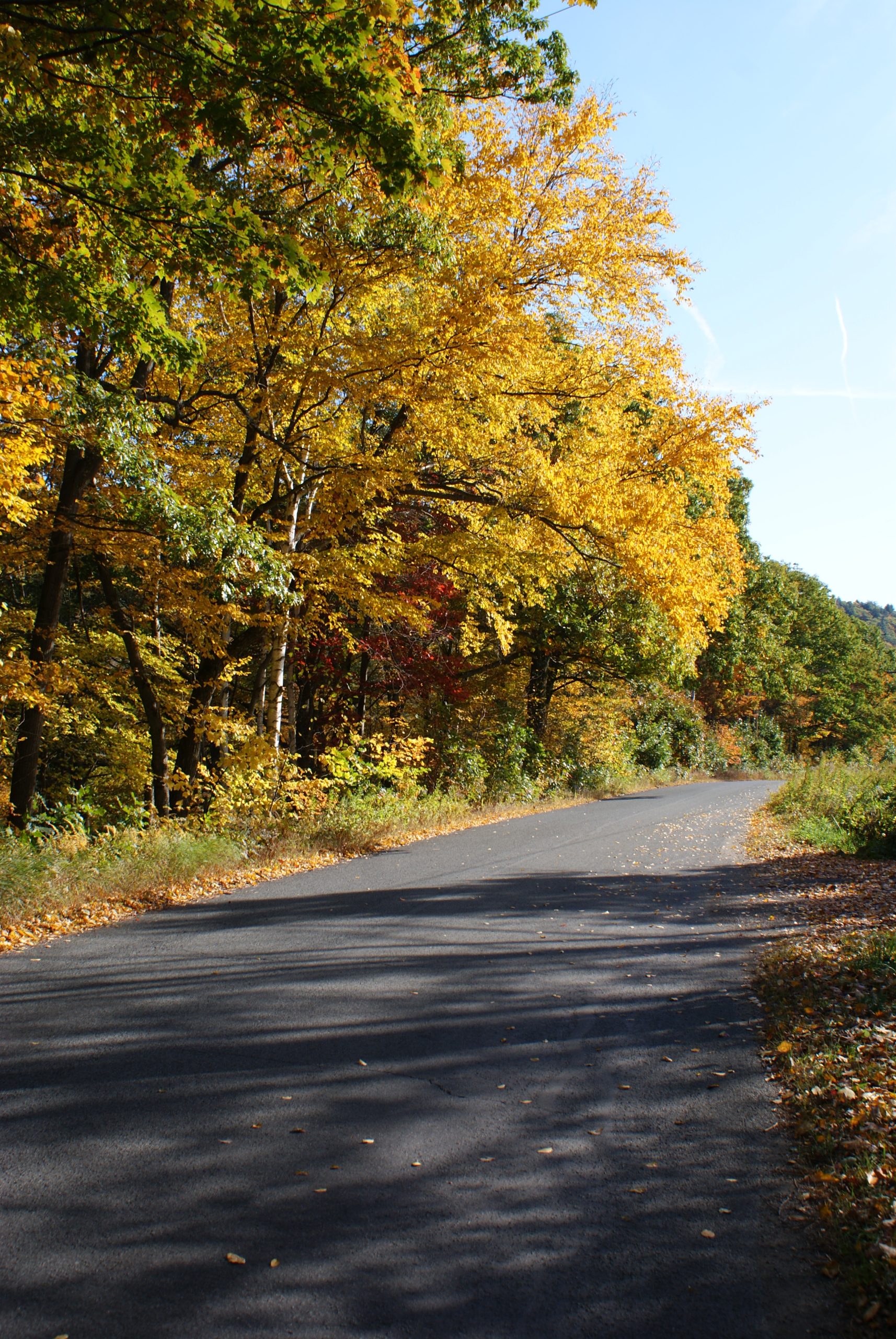 Fall On South River Road  (user submitted)