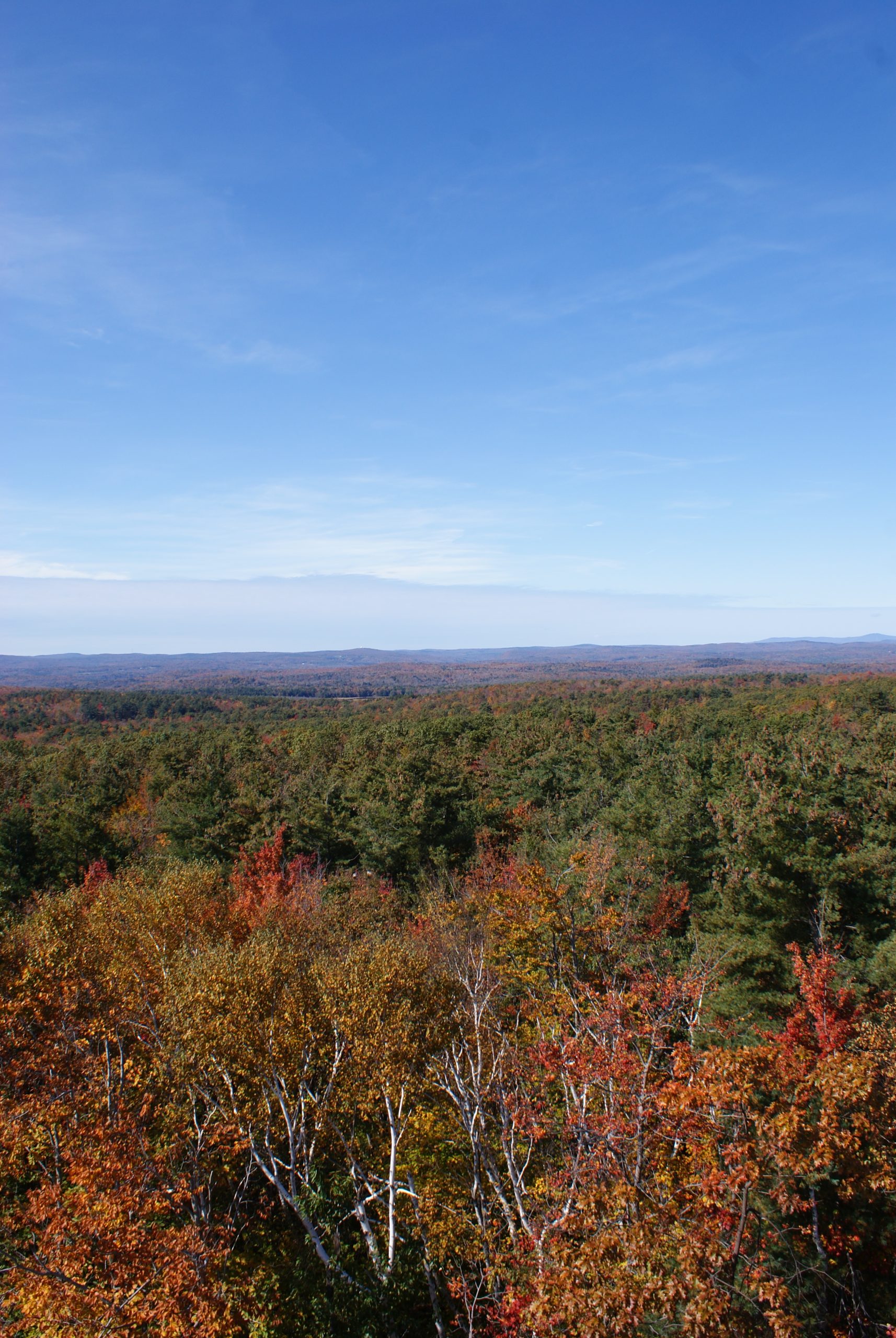Fall View From The Goshen Fire Tower (user submitted)