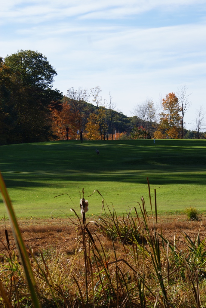 Fall On The Links (user submitted)