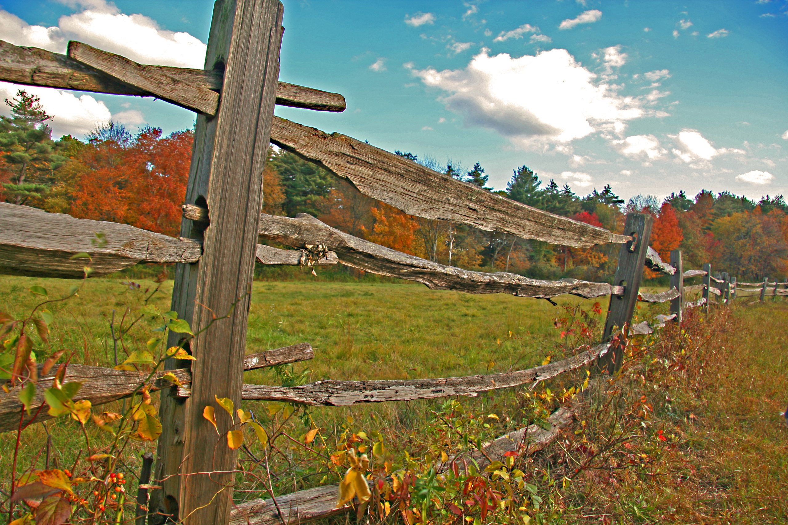 Rail Fence (user submitted)