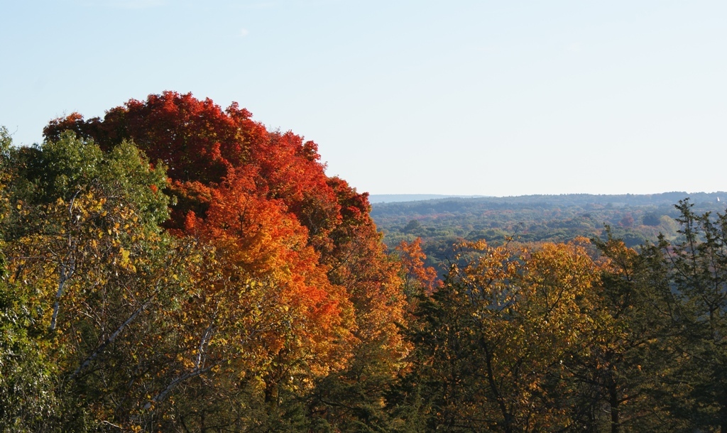 Fall In New England - New England