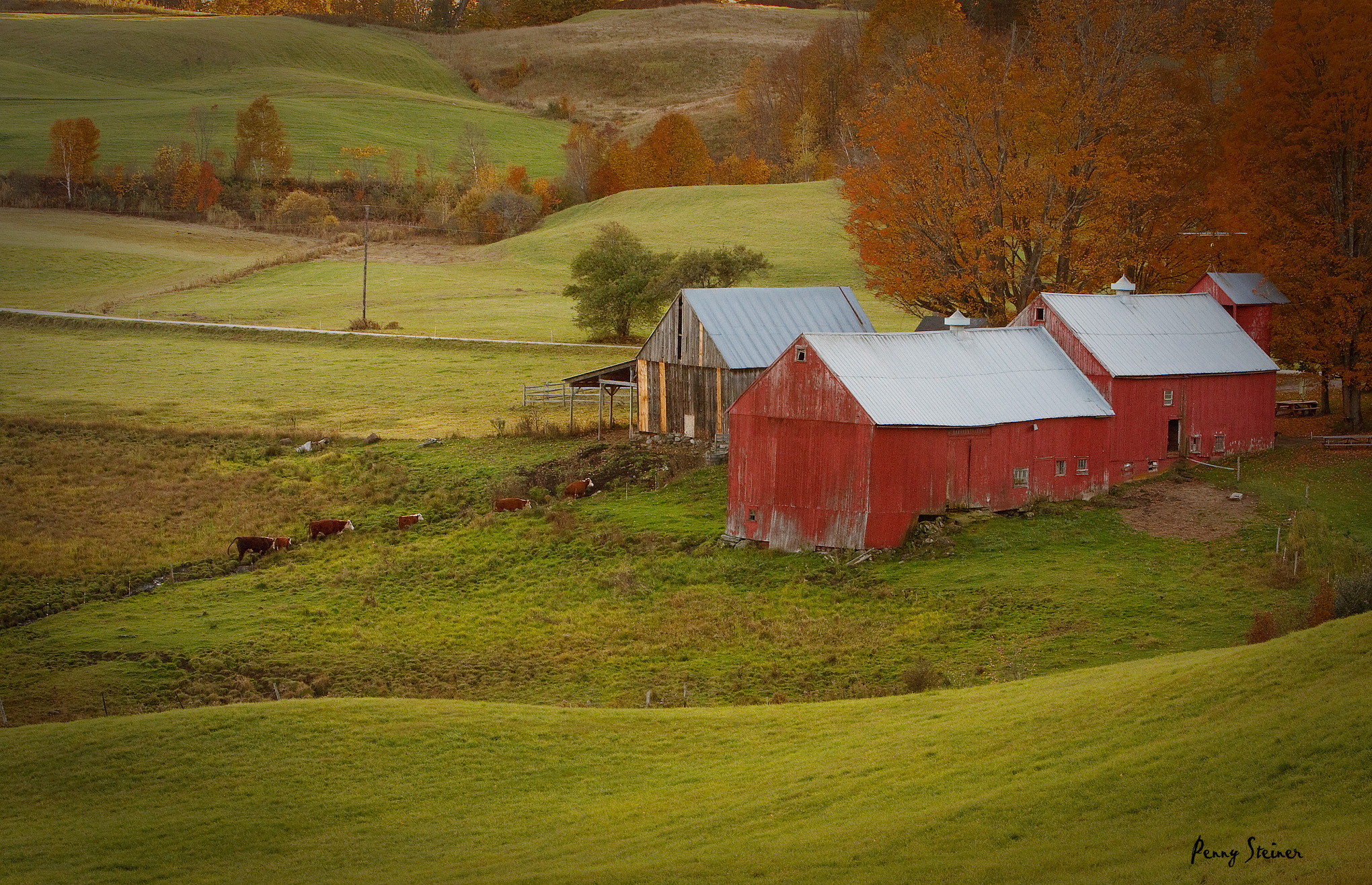 Jenne Barn In Woodstock, Vermont (user submitted)