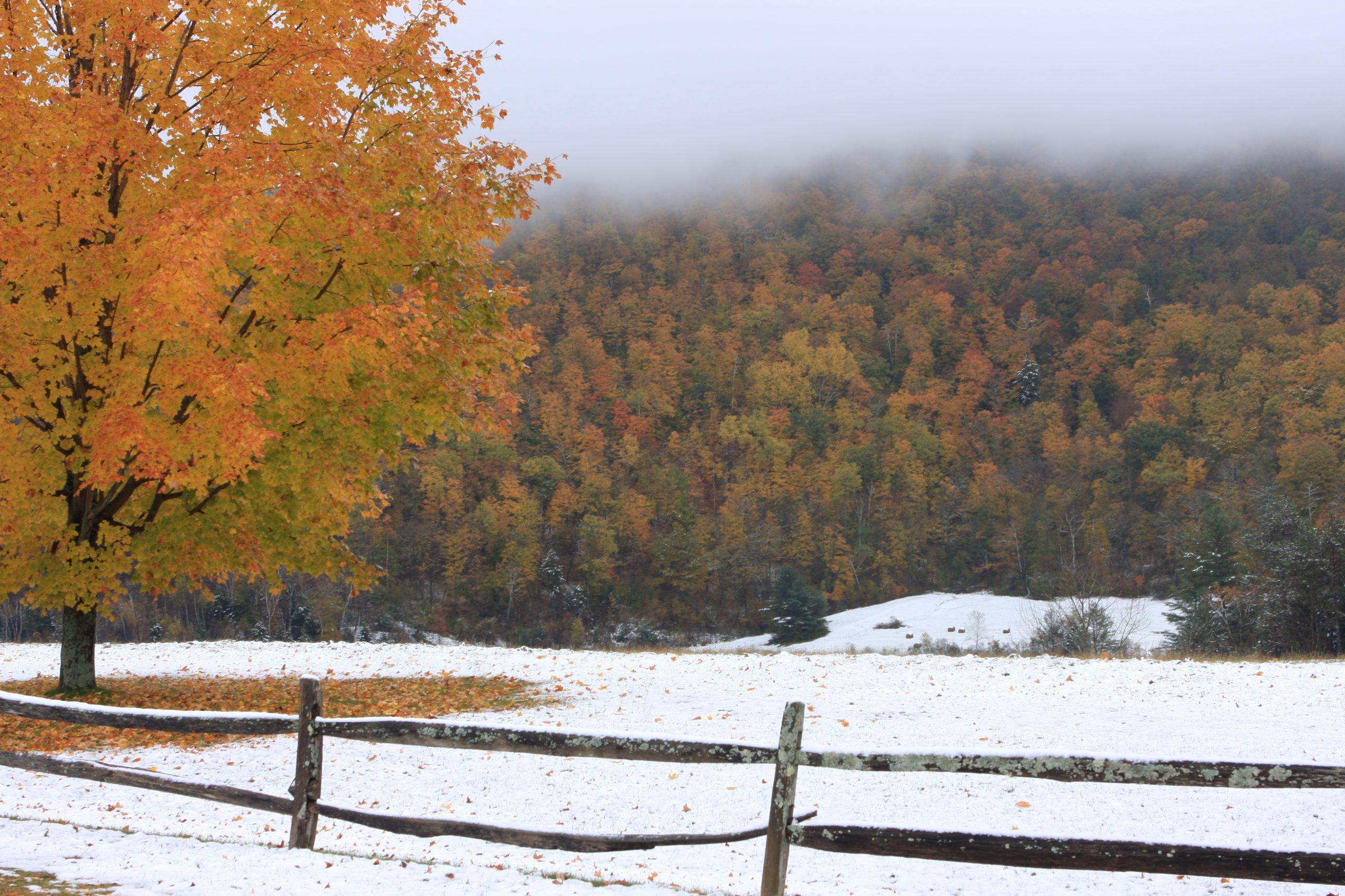Vermont First Snow (user submitted)