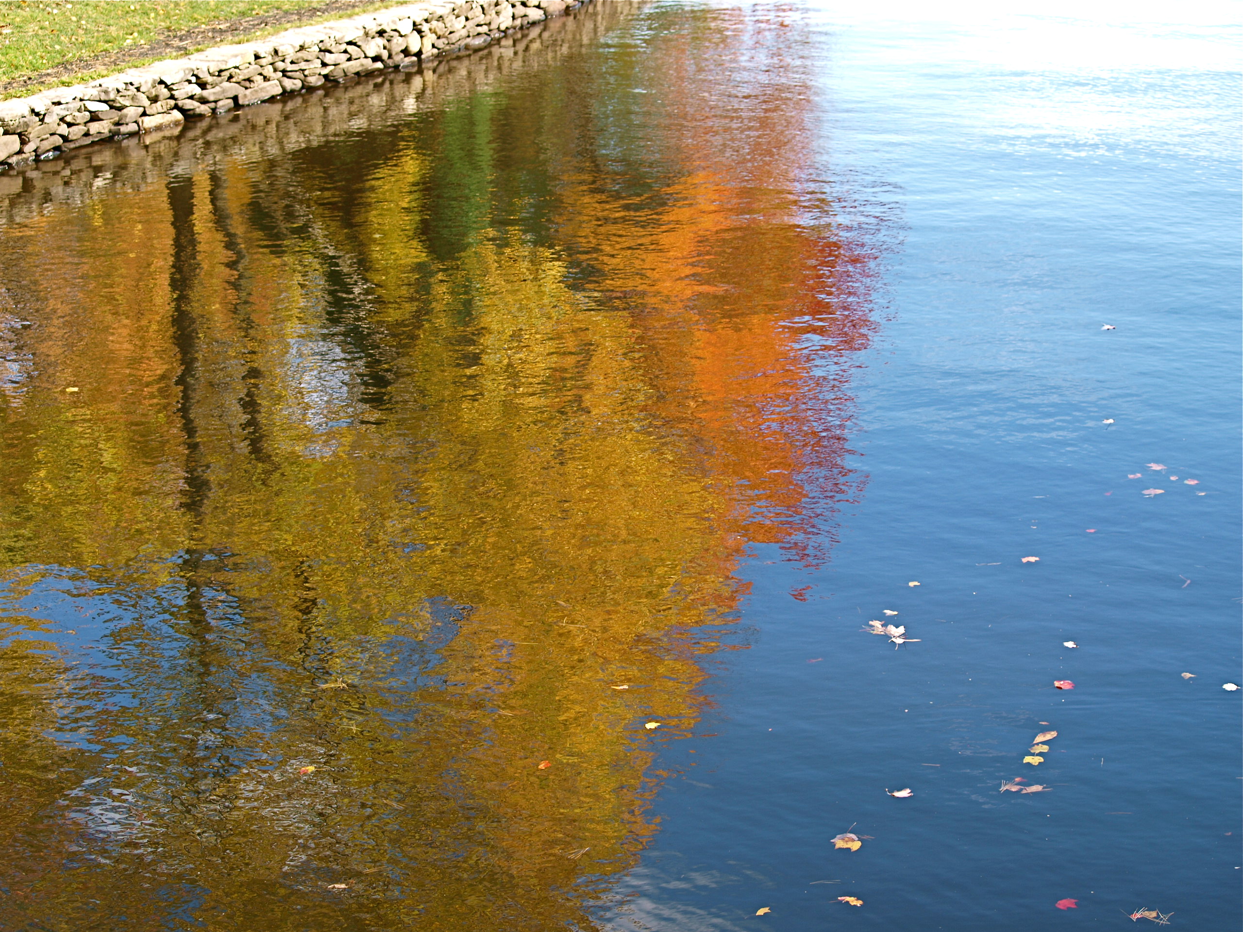 Autumn Reflections (user submitted)