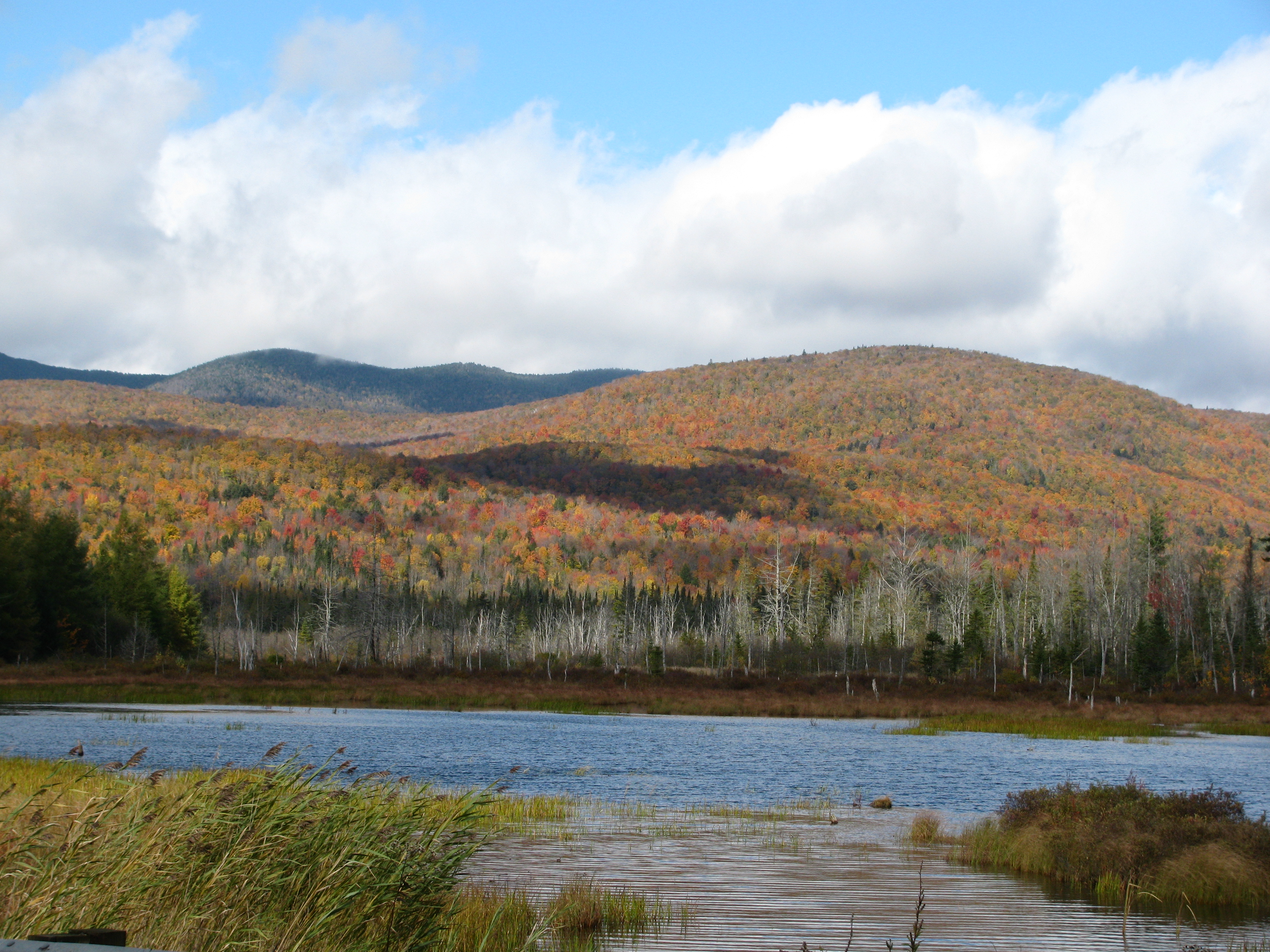 Pond In Peacham - New England Today