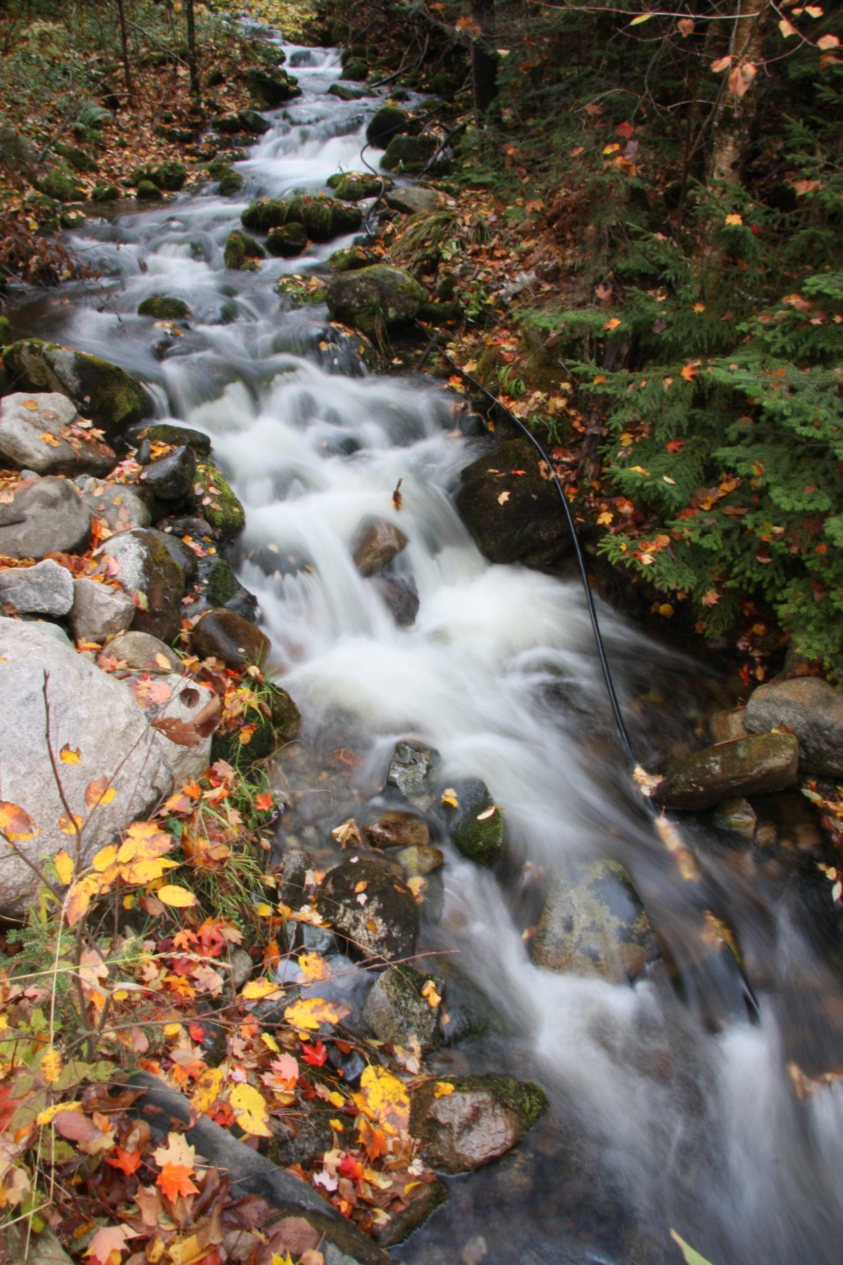 Mountain Stream  (user submitted)