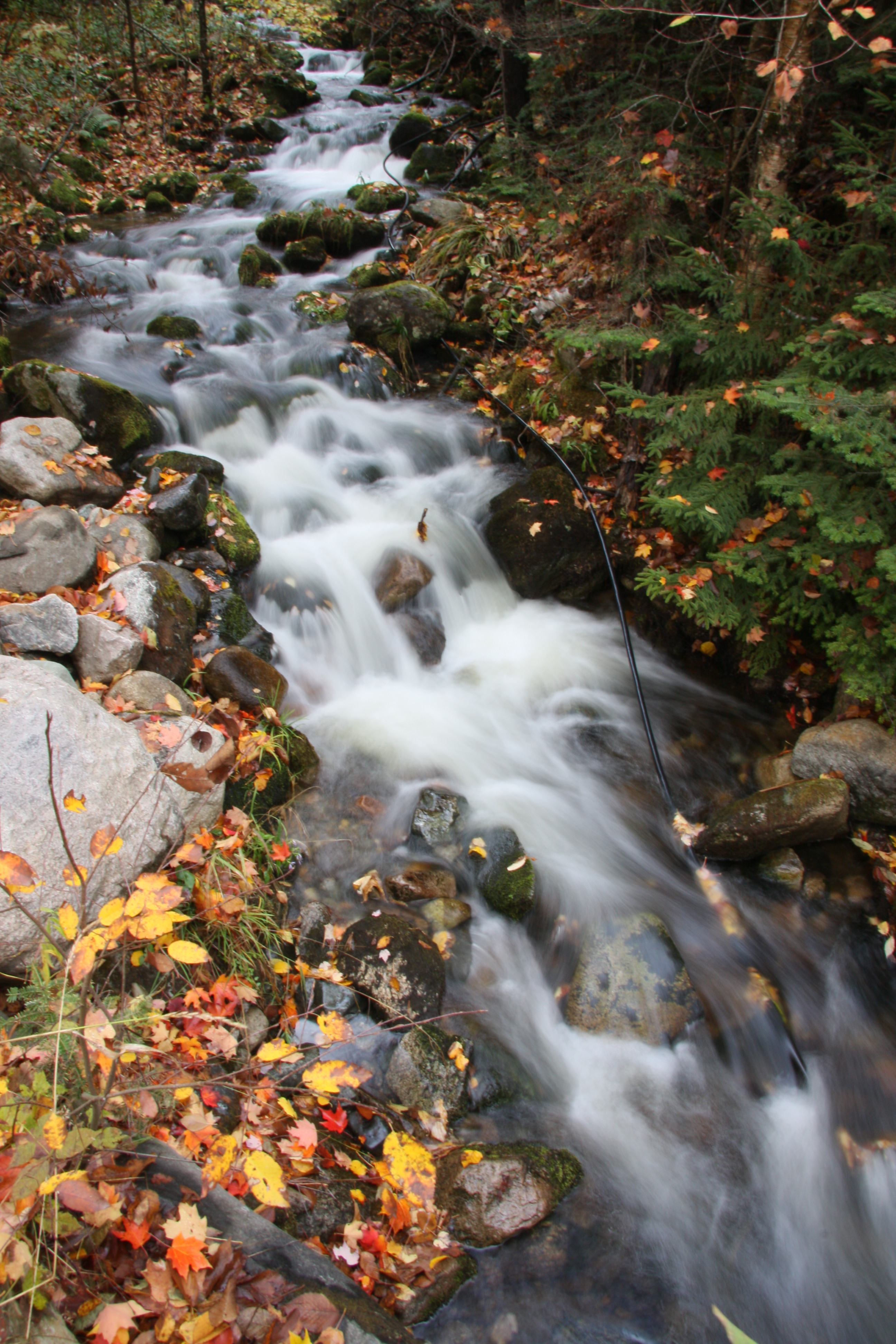 Mountain Stream New England Today