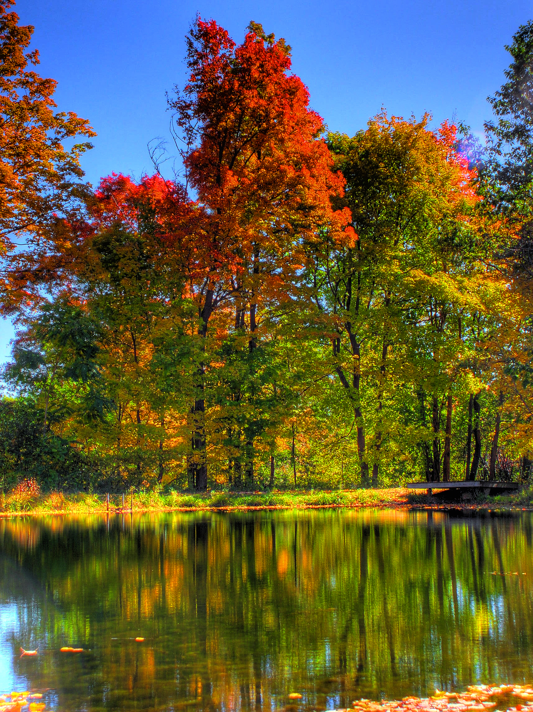 Autumn Pond (user submitted)