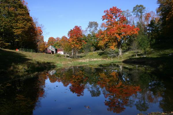 Autum Farm Pond (user submitted)