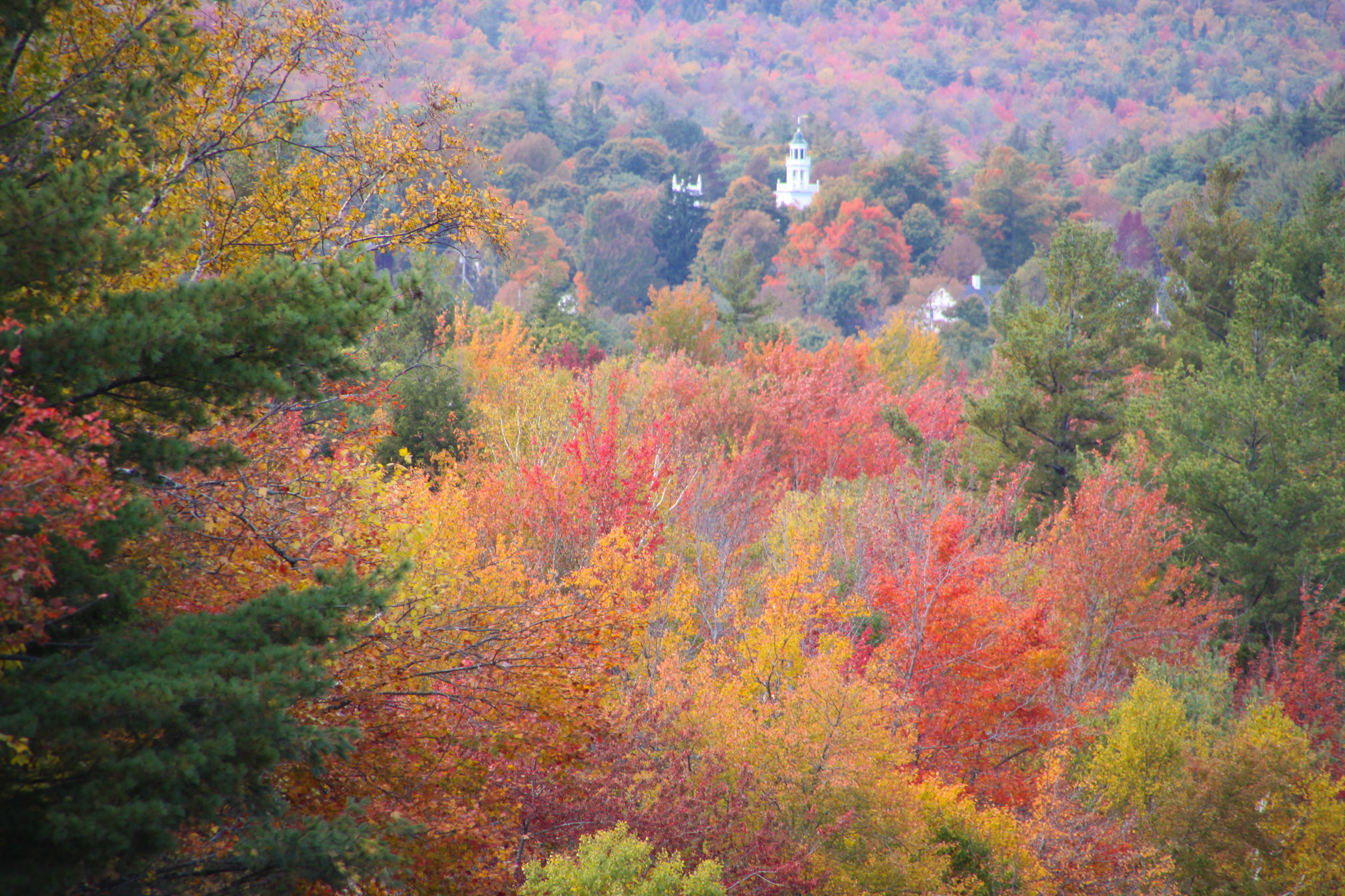 Fall In New England (user submitted)