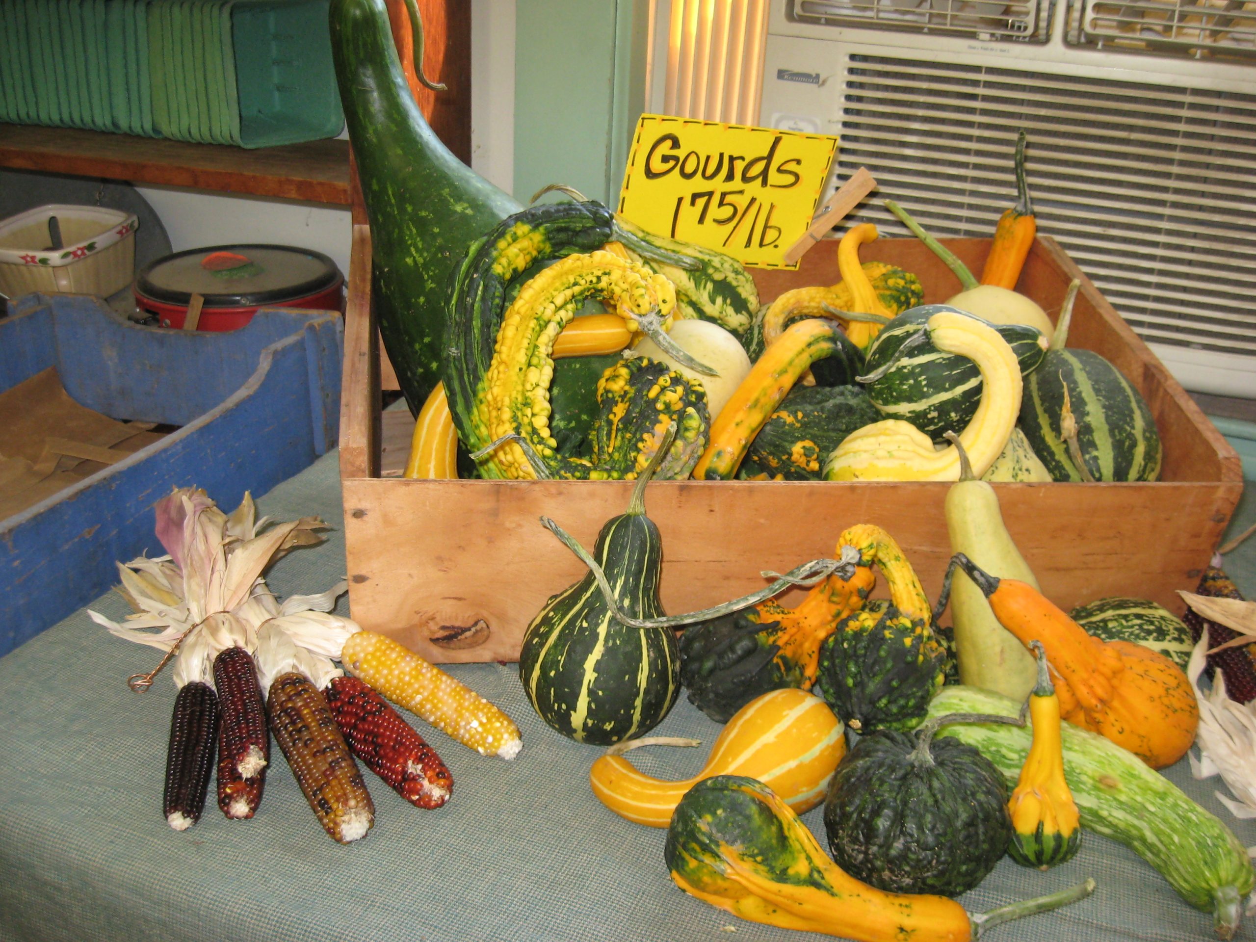 Colored Gourds (user submitted)