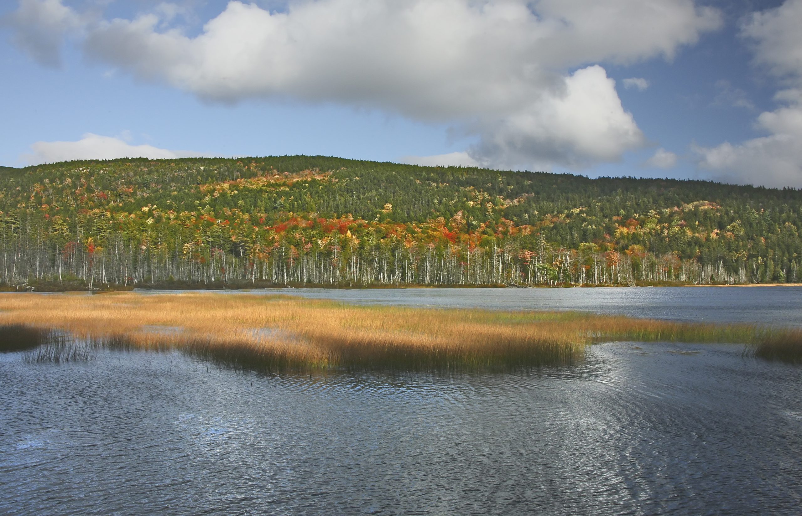 Fall Color At Upper Hadlock Pond, Mount Desert (user submitted)