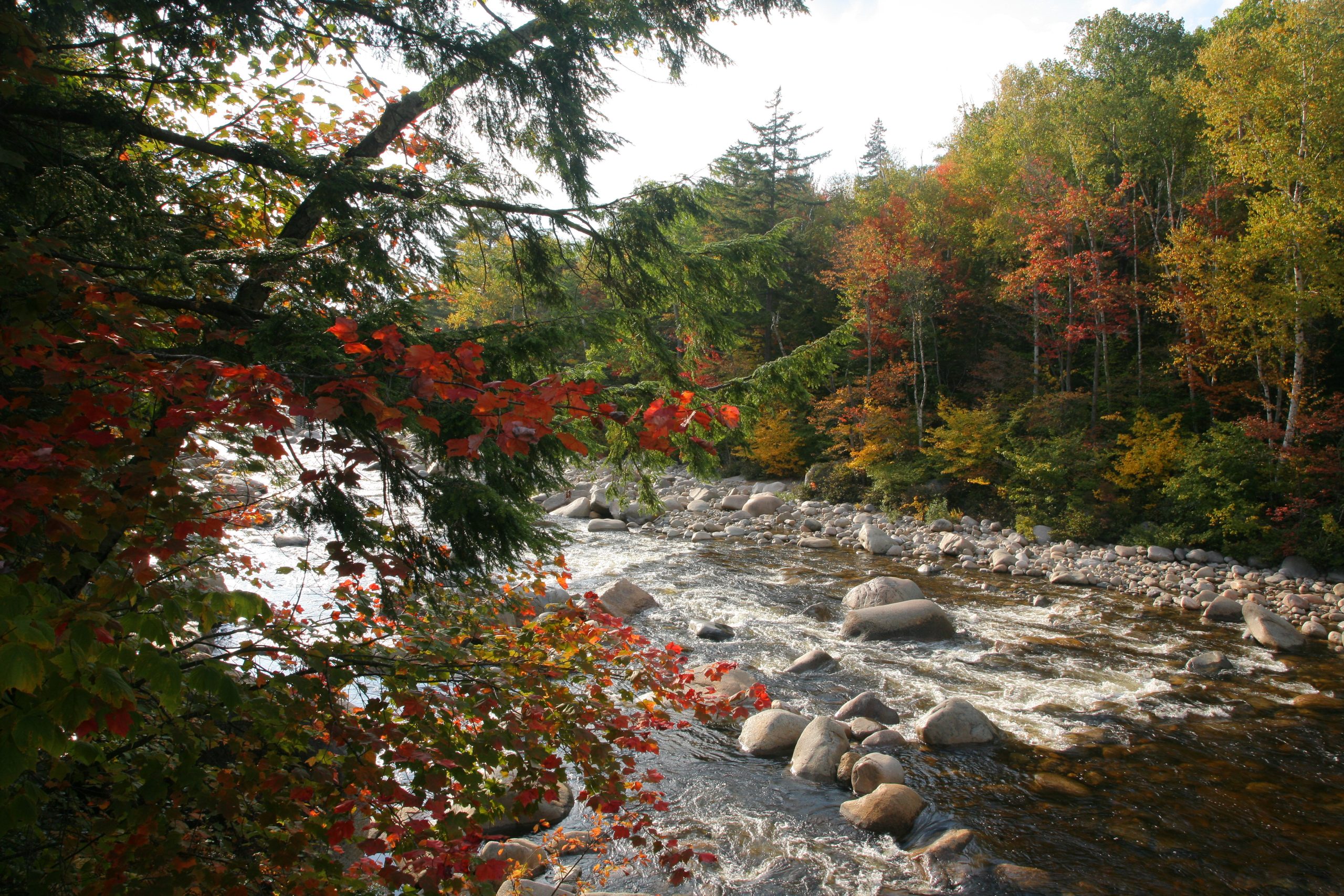 View Of Swift River, Lincoln Woods (user submitted)