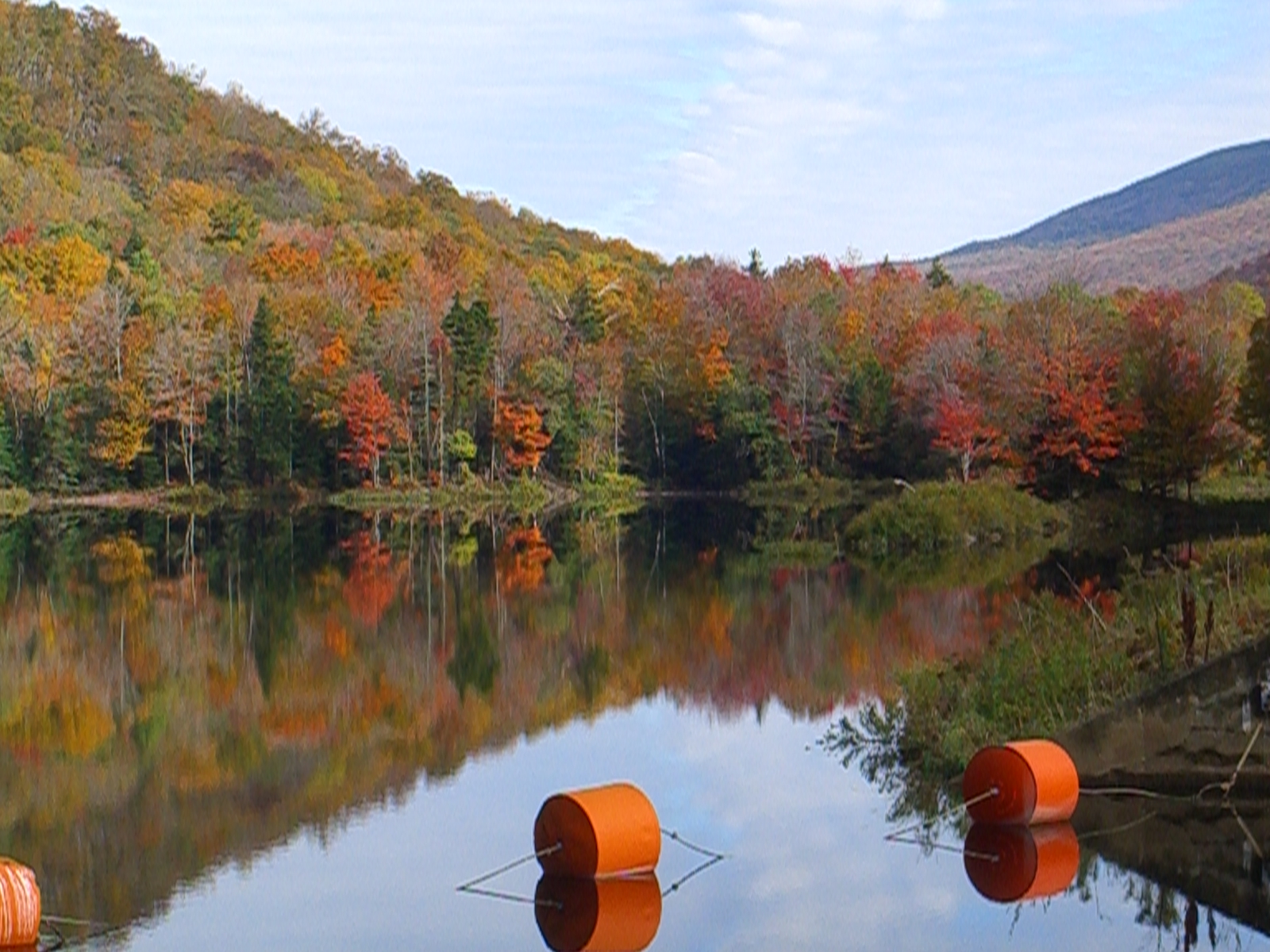 Perfect Fall Day In Vermont (user submitted)
