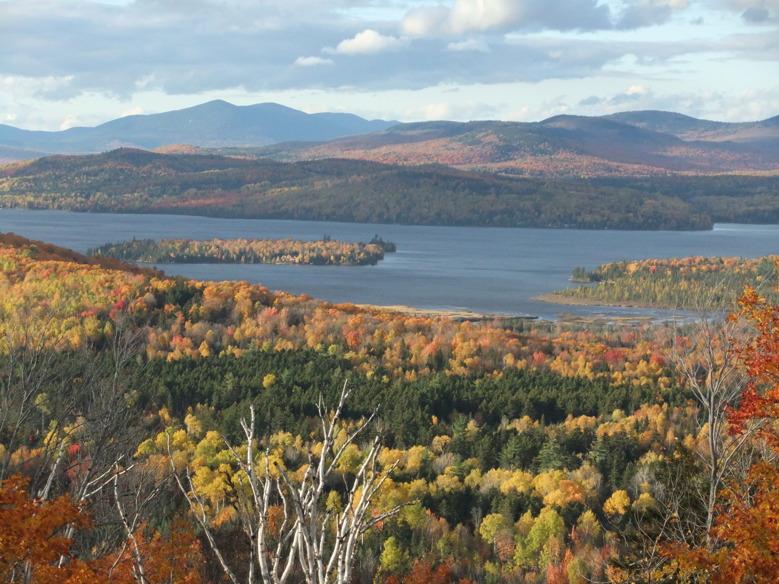 Maine Majesty - New England