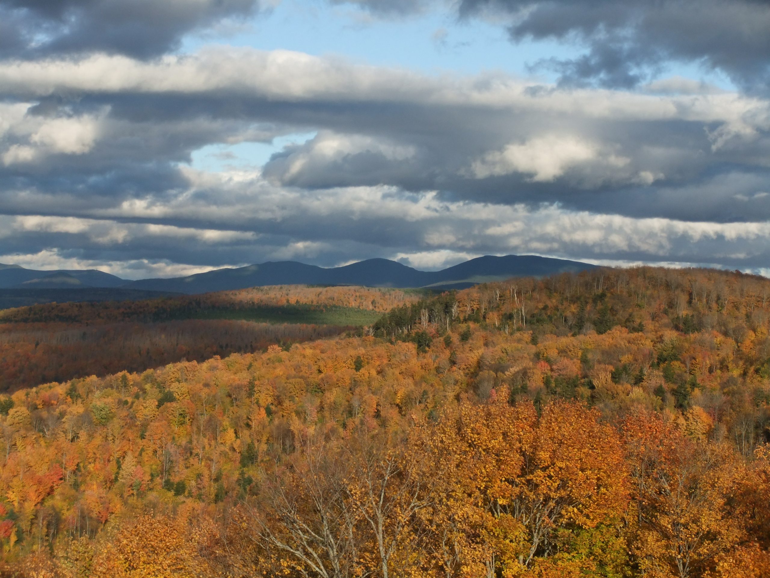 Saddleback Mountain - New England