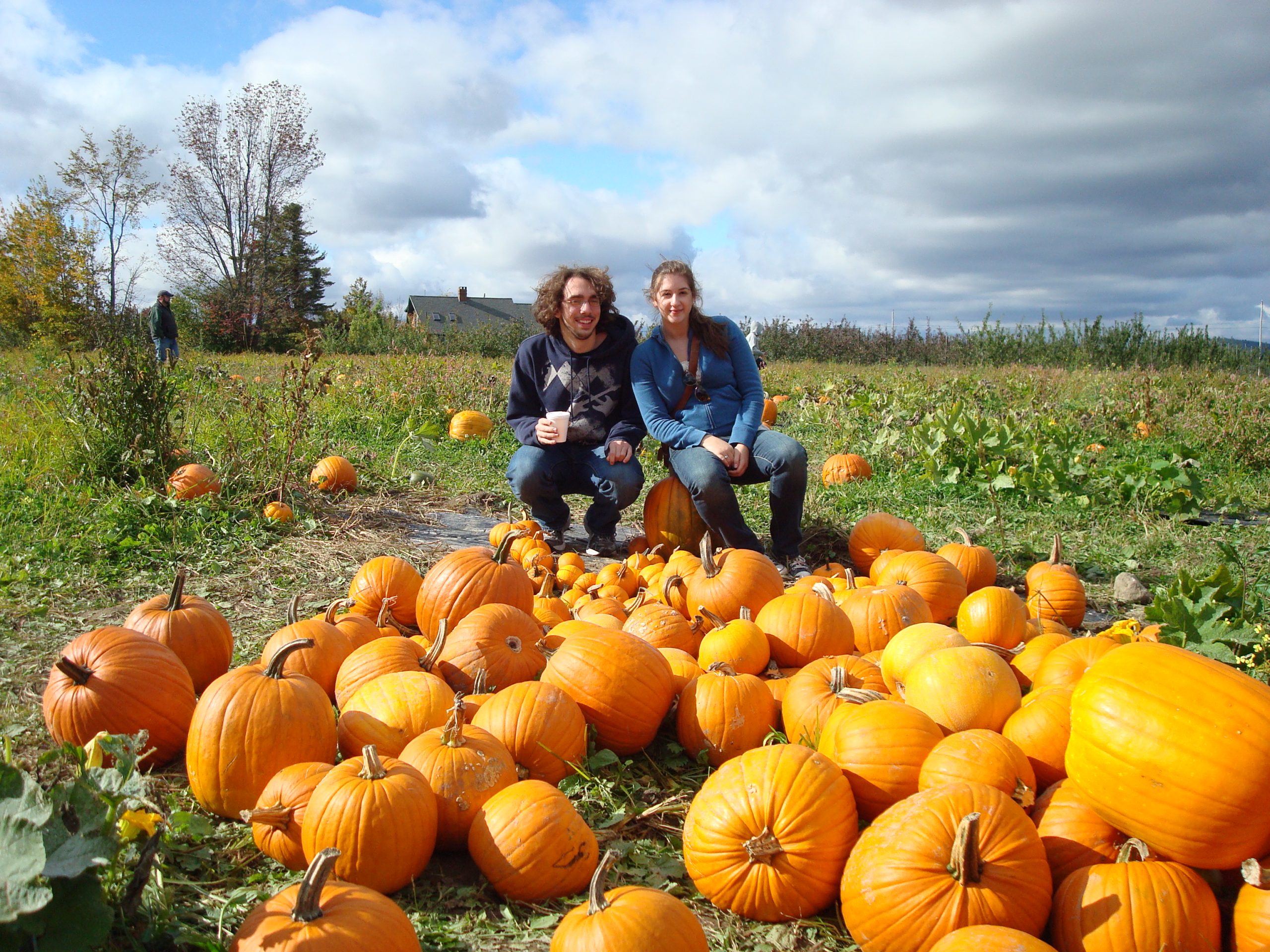 Pumpkins At Ricker Hill Orchards (user submitted)