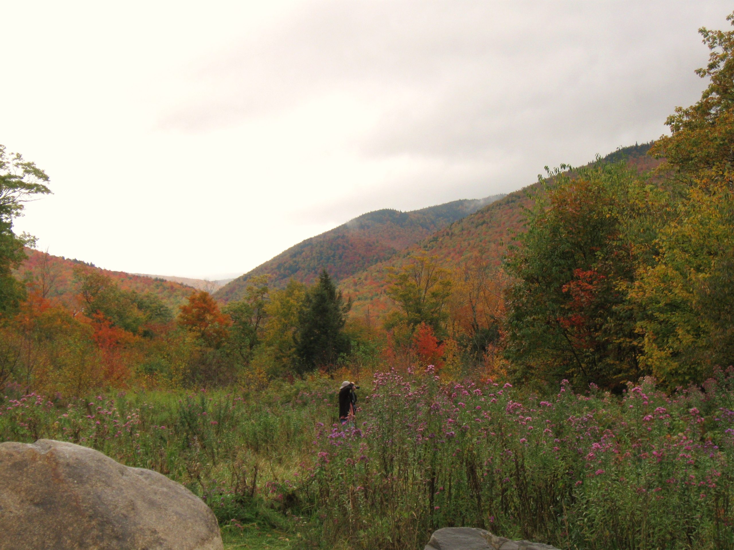 Crawford Notch Foliage (user submitted)