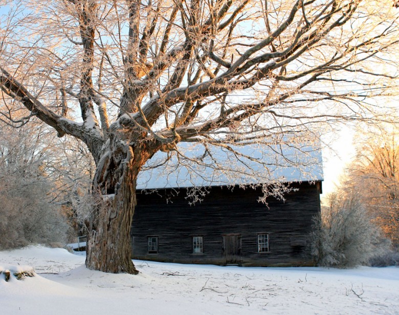 Icy Winter Barn