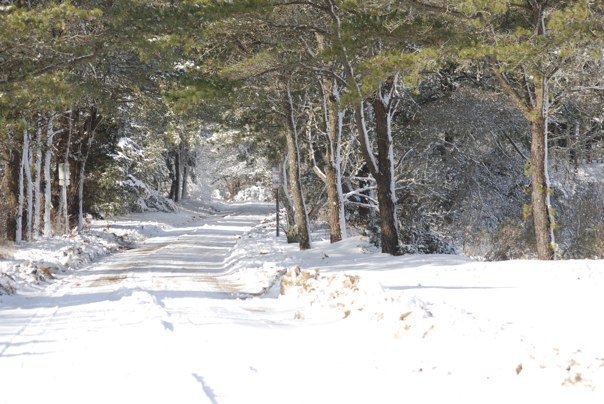 Winter On Martha&#8217;s Vineyard (user submitted)