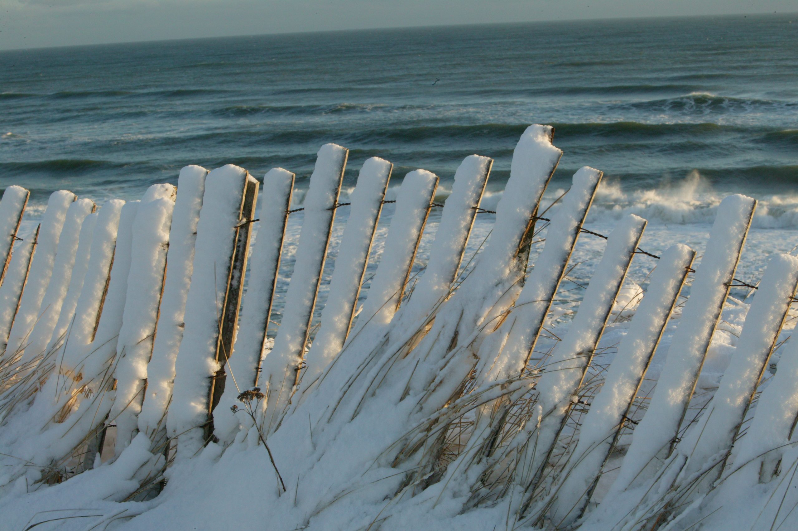Dune Fence (user submitted)