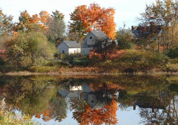 Country Farm In Orland, Maine