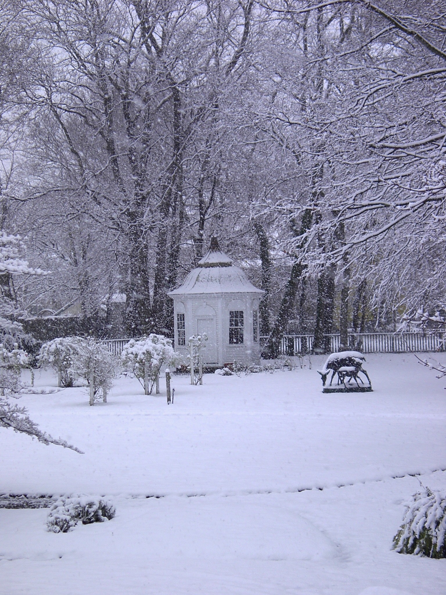 Linden Place Gardens In Winter (user submitted)
