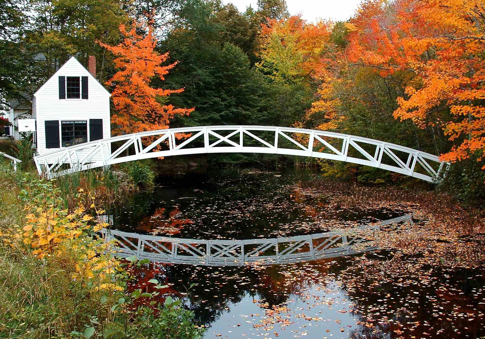 Foot Bridge Over Leaf Covered Pond (user submitted)
