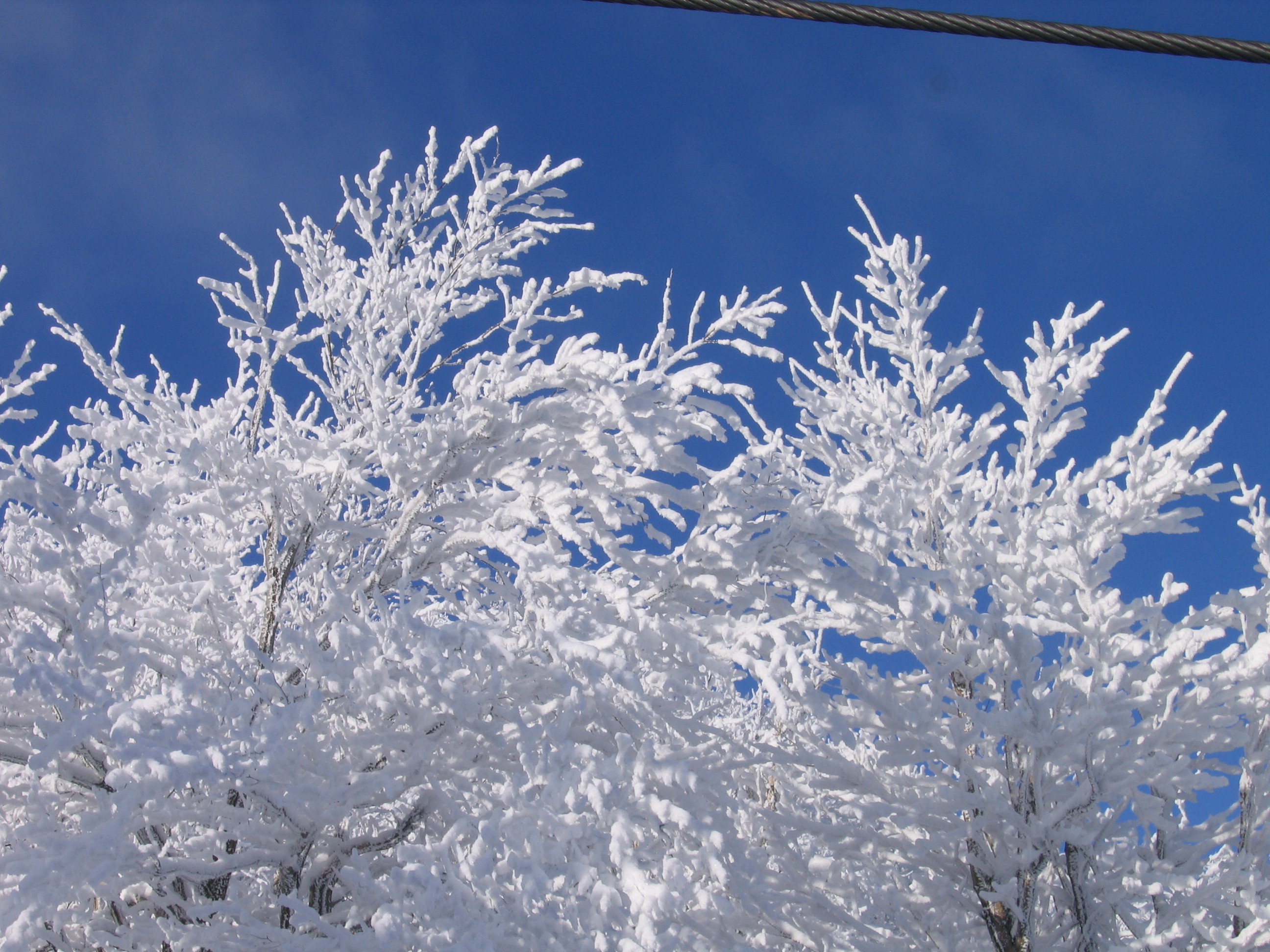 Bluebird Day At Mount Sunapee - New England Today