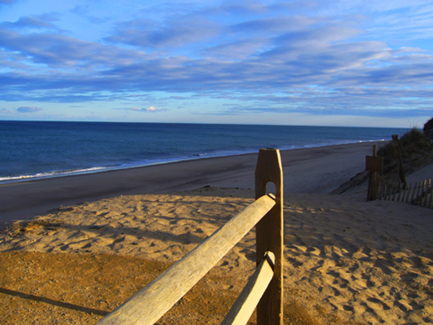 National Seashore Winter 2010 (user submitted)
