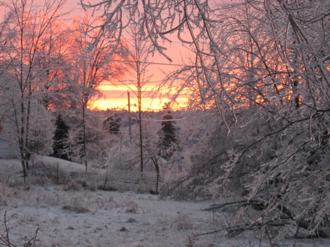 Dawn After The 2008 Ice Storm (user submitted)