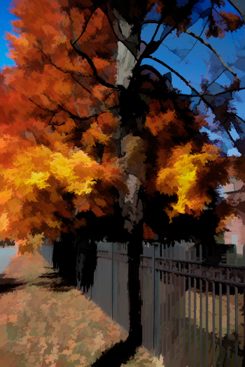 Artistic Fall Color (user submitted)