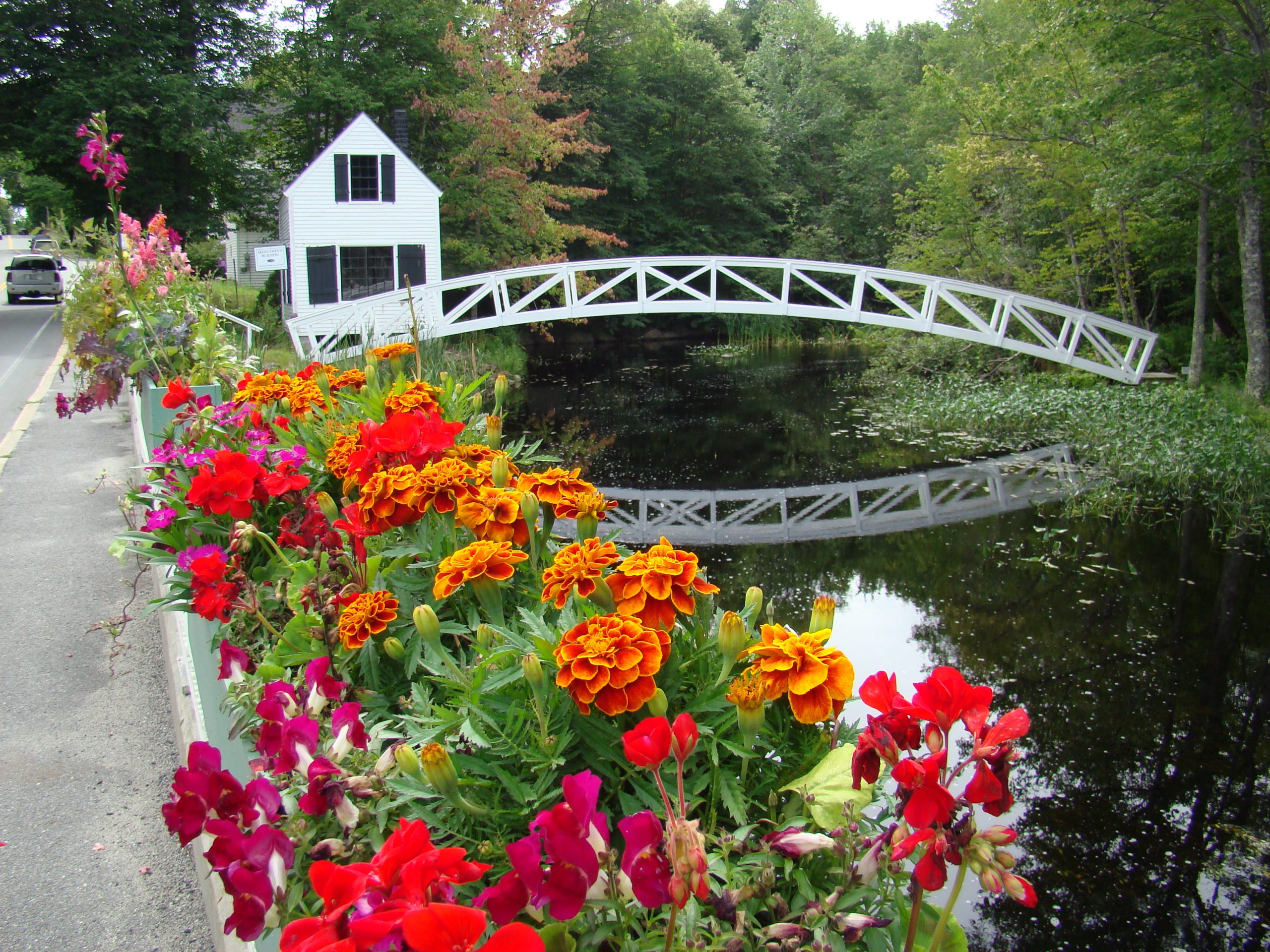 Bridge In Bloom (user submitted)