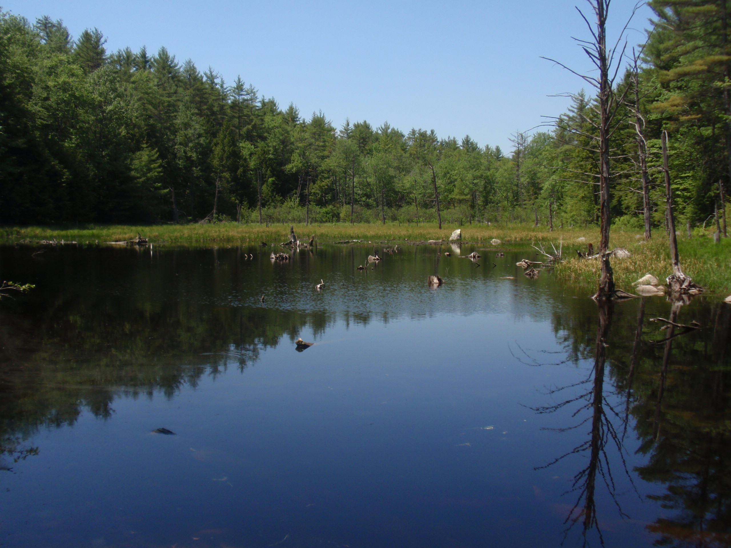 Beaver Dam Pond (user submitted)