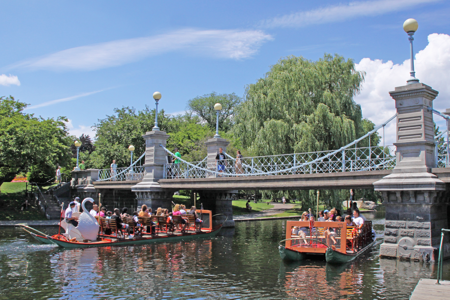 Summer Swan Boats, Boston Public Garden (user submitted)